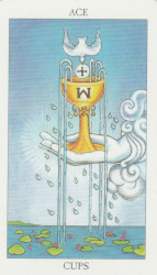 The Ace of Cups