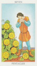 The seven 7 of pentacles