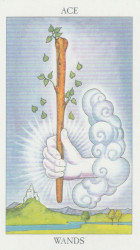 The ace of wands.